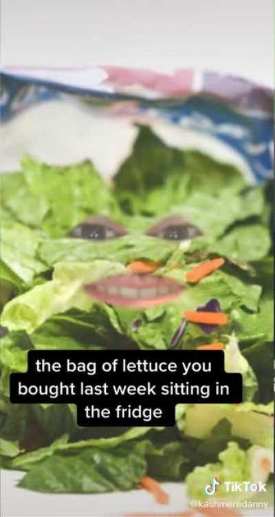 Know your place lettuce!!