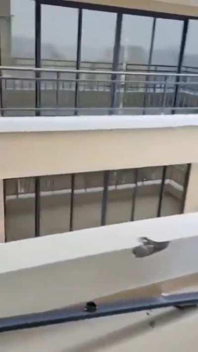 The support posts on this balcony 