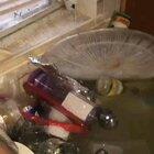 Person on kitchen sink watching storm surge enter window