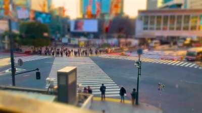 Mini Shibuya Crossing