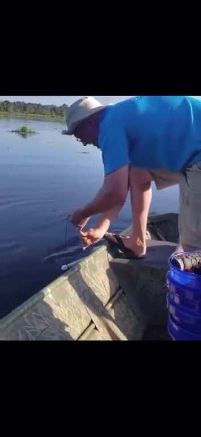 HMB while I accidentally catch a gator