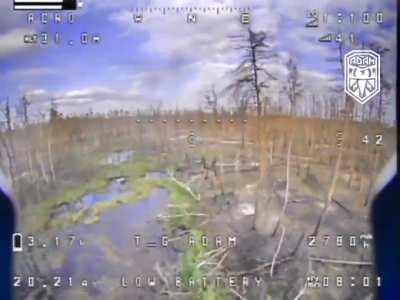 Free roaming Ukrainian FPV drone found Russian soldier trying to hide in dugout in Kreminna Forests