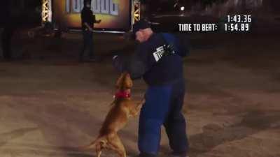 WHY Pits don't make good Police Dogs. K9 Takedown Challenge segment: Belgian Malinois Takedown and Recall VS Pitbull Takedown and 