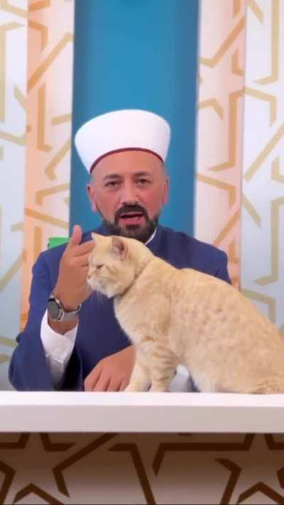 Turkish Cats on Mission Again