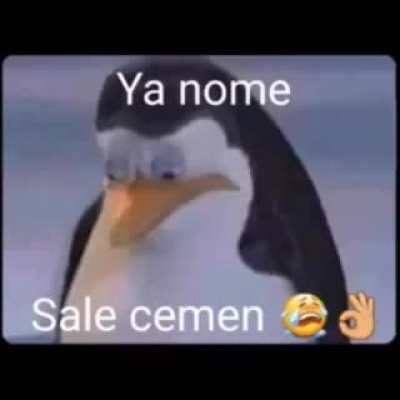 Ya nome sale cemen 😭👌🏼