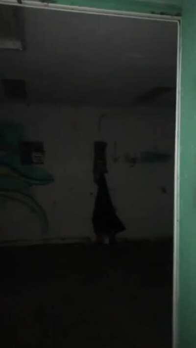 Bat Sightings