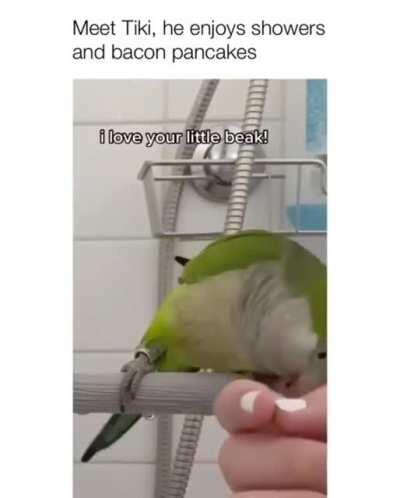 Birb.