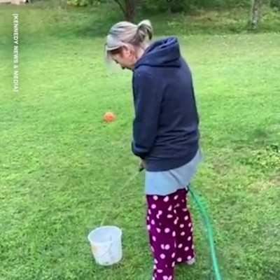 Man sick of wife complaining about poor toilet aim challenges her to try with bucket and hose