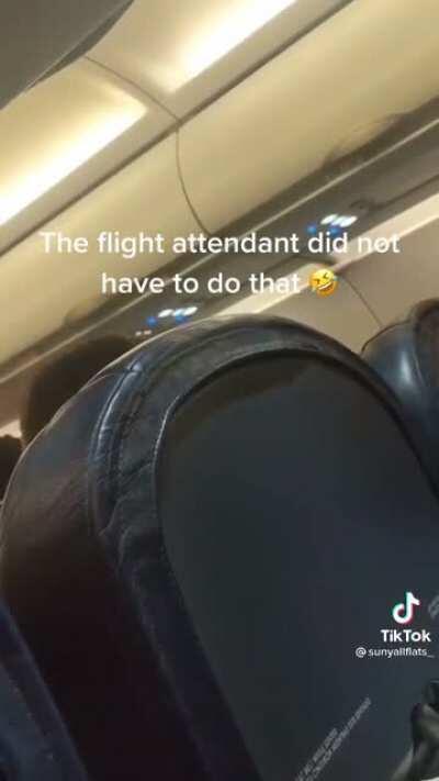 Flight attendant