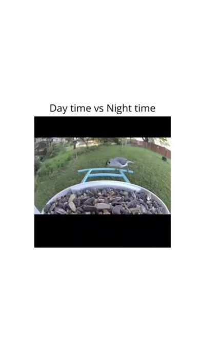 Day time vs Night time