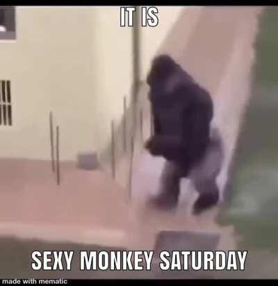 funky monke Friday was great, but now it's time for sexy monke Saturday