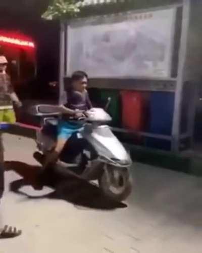 Riding a Bike, what could go wrong?