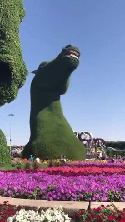 Flower park in Dubai