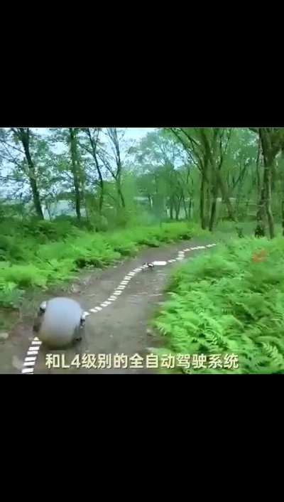 Police robots in China