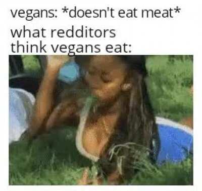 I am NOT vegan