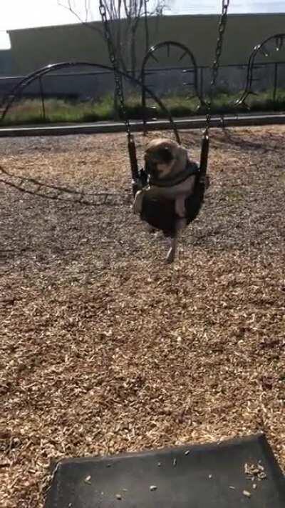 We like to go to the park and swing