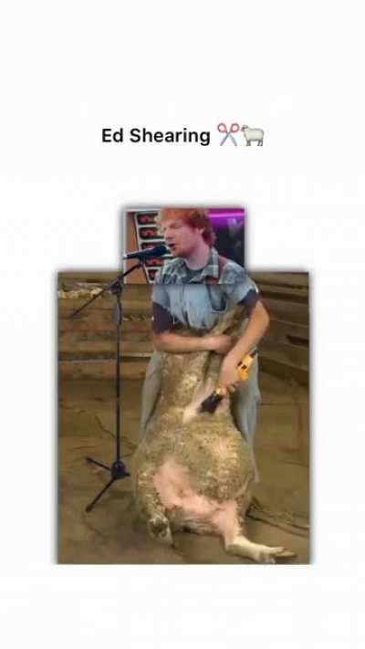 Ed Shearing