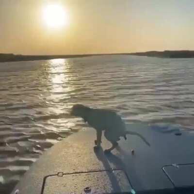 The hot hazy sun setting over calm waters after a long summer day fishing with my best friend.