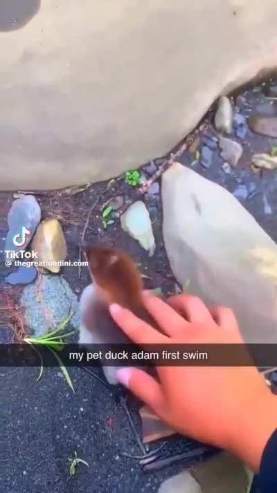 Adam's first swim 