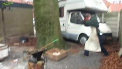 WCGW playing with salt