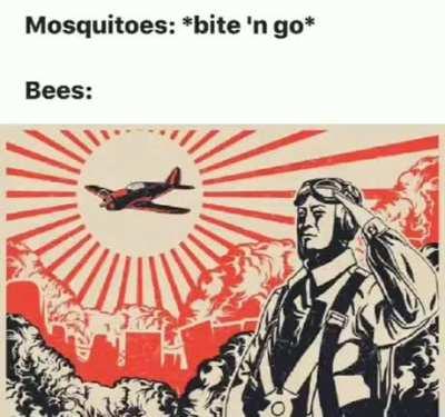 Bees be like