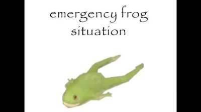 No emergency frog situation flair?