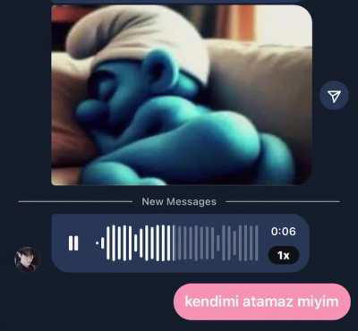 kendimi atamaz miyim