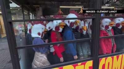 Activists occupying a fast food chain disguised as chickens to denounce condition of chickens used by the brand.