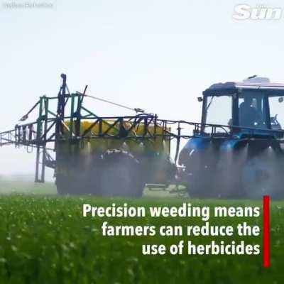 Weed-killing robot