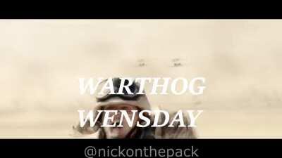 WARTHOG WEDNESDAY