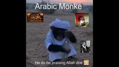 Monke find Allah ooh aah 😳😳