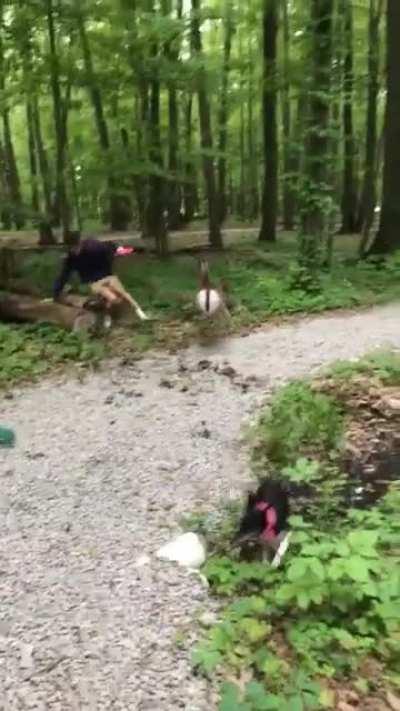 WCGW Frisbee Golf!