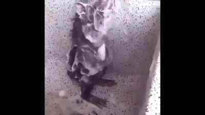 unseen video of tayy in the shower 😳