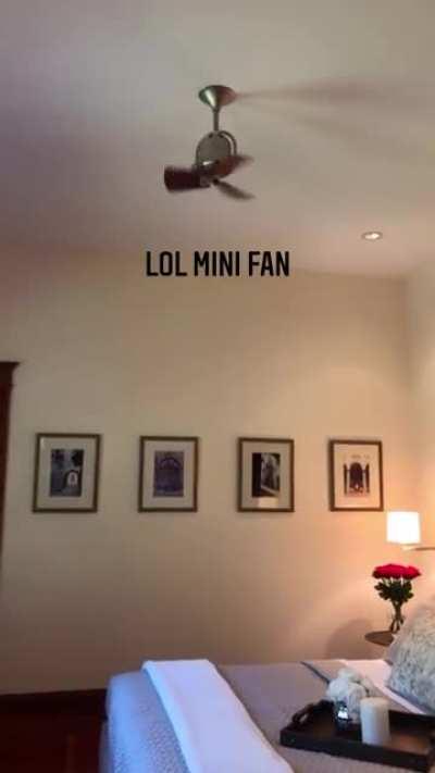 This mini fan I saw in a house today.