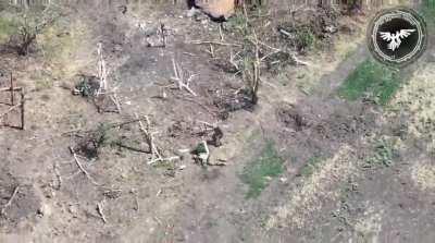 Russian assault group is destroyed by Fpv strikes in avdiivka region 