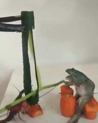 10 upvotes and this becomes a frog and lobster sub