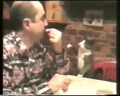 Cats tell his deaf owner to give it treat with sign language