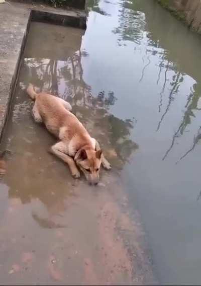 Just chillin' and making bubbles