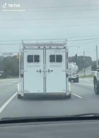 CAUTION! HORSES