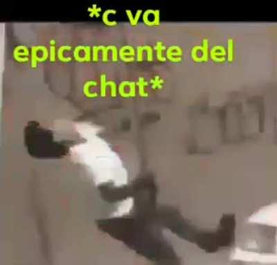 Se epicamente de chat 😎😎😎