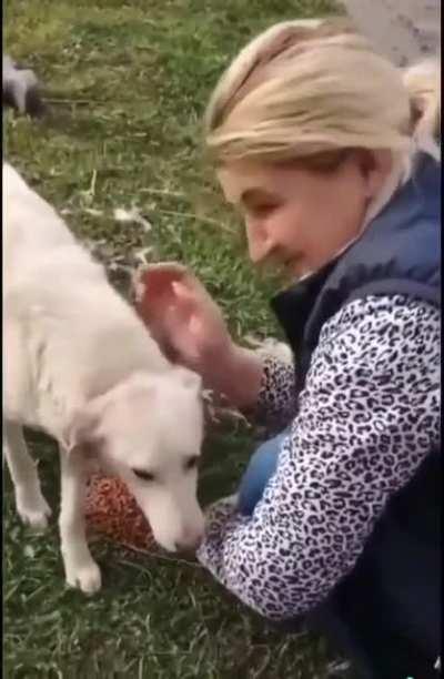 This poor baby is starving, but still prefers some love before food. Dogs are the best!