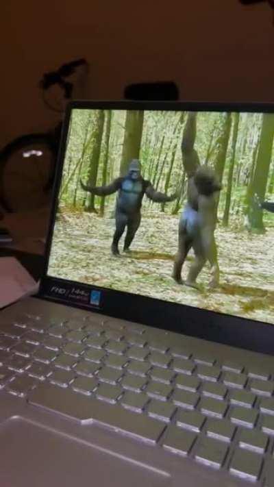 Monkey watching CGI monkeys dance (OC)