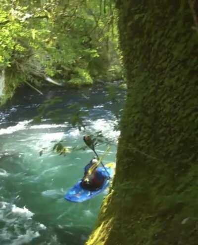 Kayaking down a mountain... through snow, forest, and water.