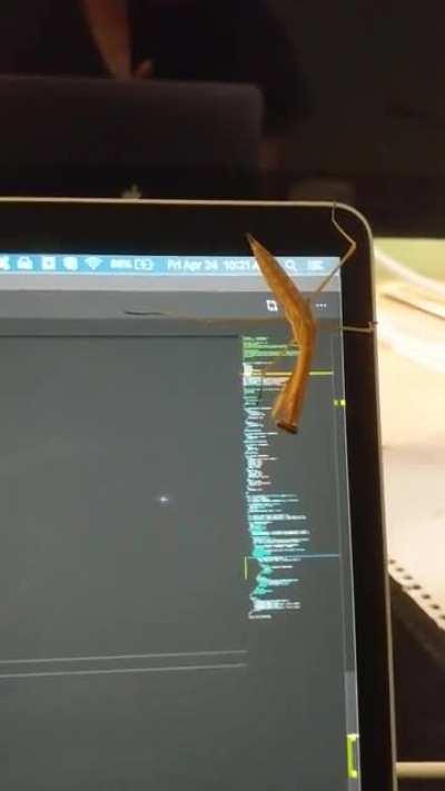 Working with mantis