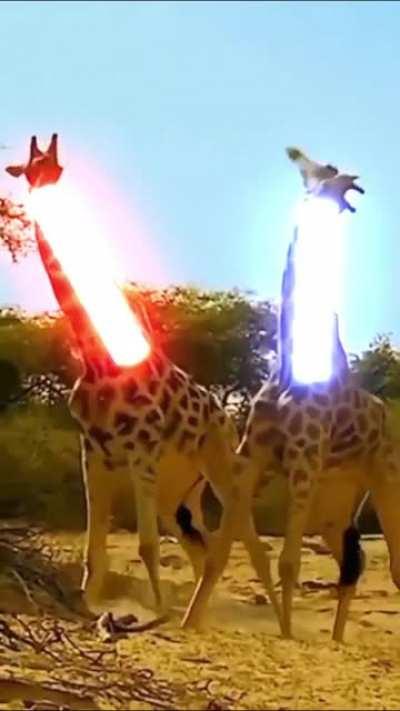 Lightsaber Giraffe