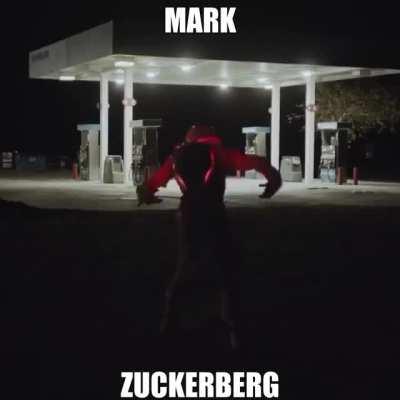 Zucc???