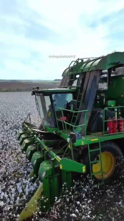 Cotton picker