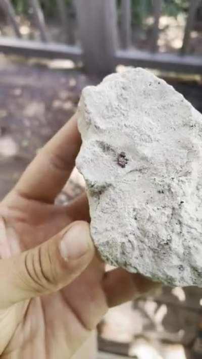 A nice red beryl with bixbyite in matrix that I found a couple weeks ago at the Thomas Mountain Range in Utah.