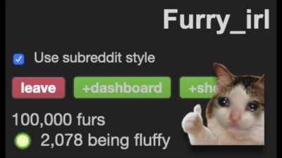 furry💯irl