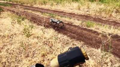 Ukrainian drone team shows their new robot dog